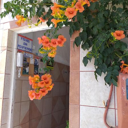 Kardamena  Ladikos Beach Hotel المظهر الخارجي الصورة
